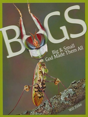 Bugs: Big and Small God Made Them All